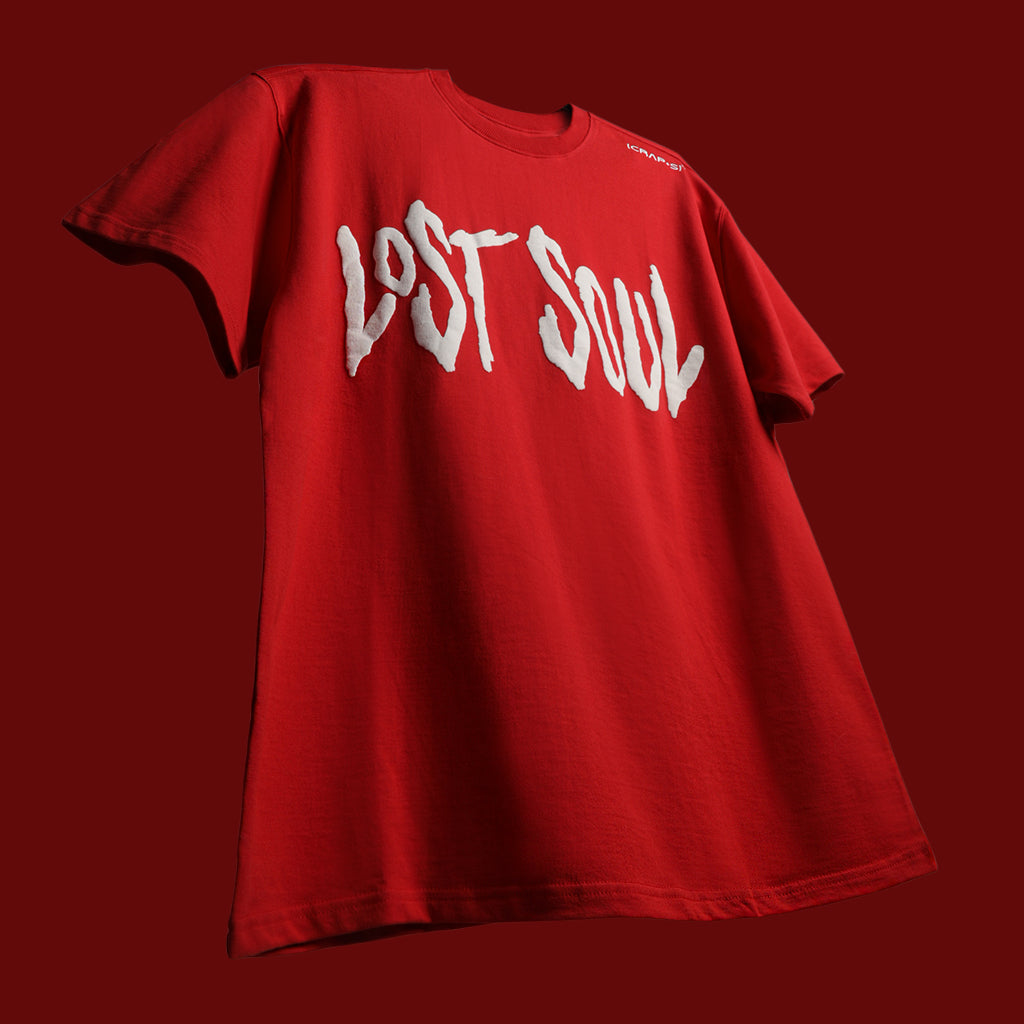 Finding The lost Soul